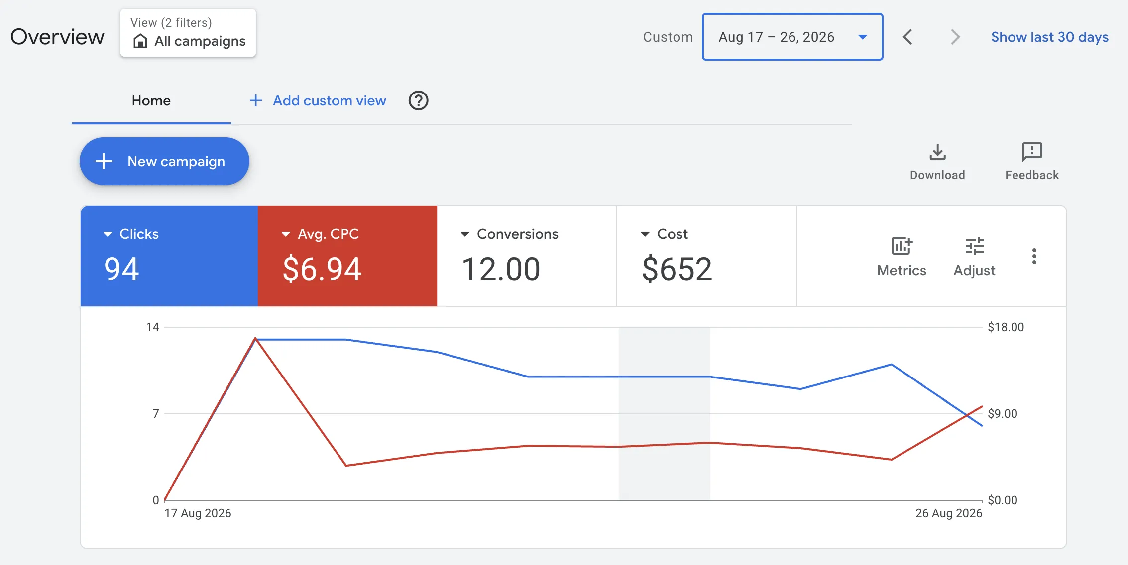 Google Ads overview performance screenshot